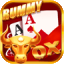 rummy health